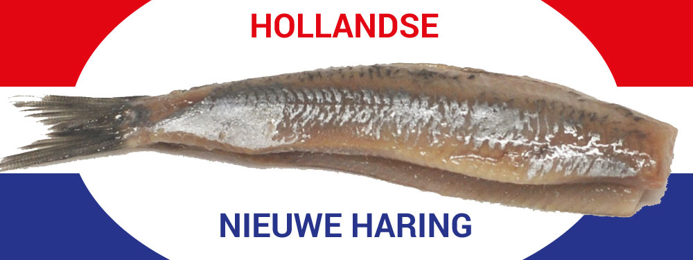 hollandse nieuwe haring